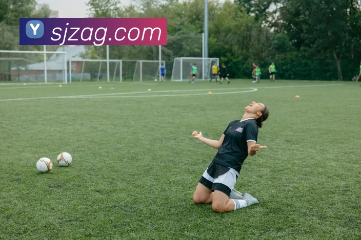 ag百家乐APP 封面图